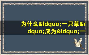 为什么“一只草”成为“一条链” —— ANTU  COUNTY在Antu  County开发正宗药用材料行业的道路